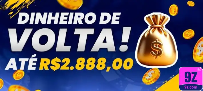 9z.com acesse profissional jogo